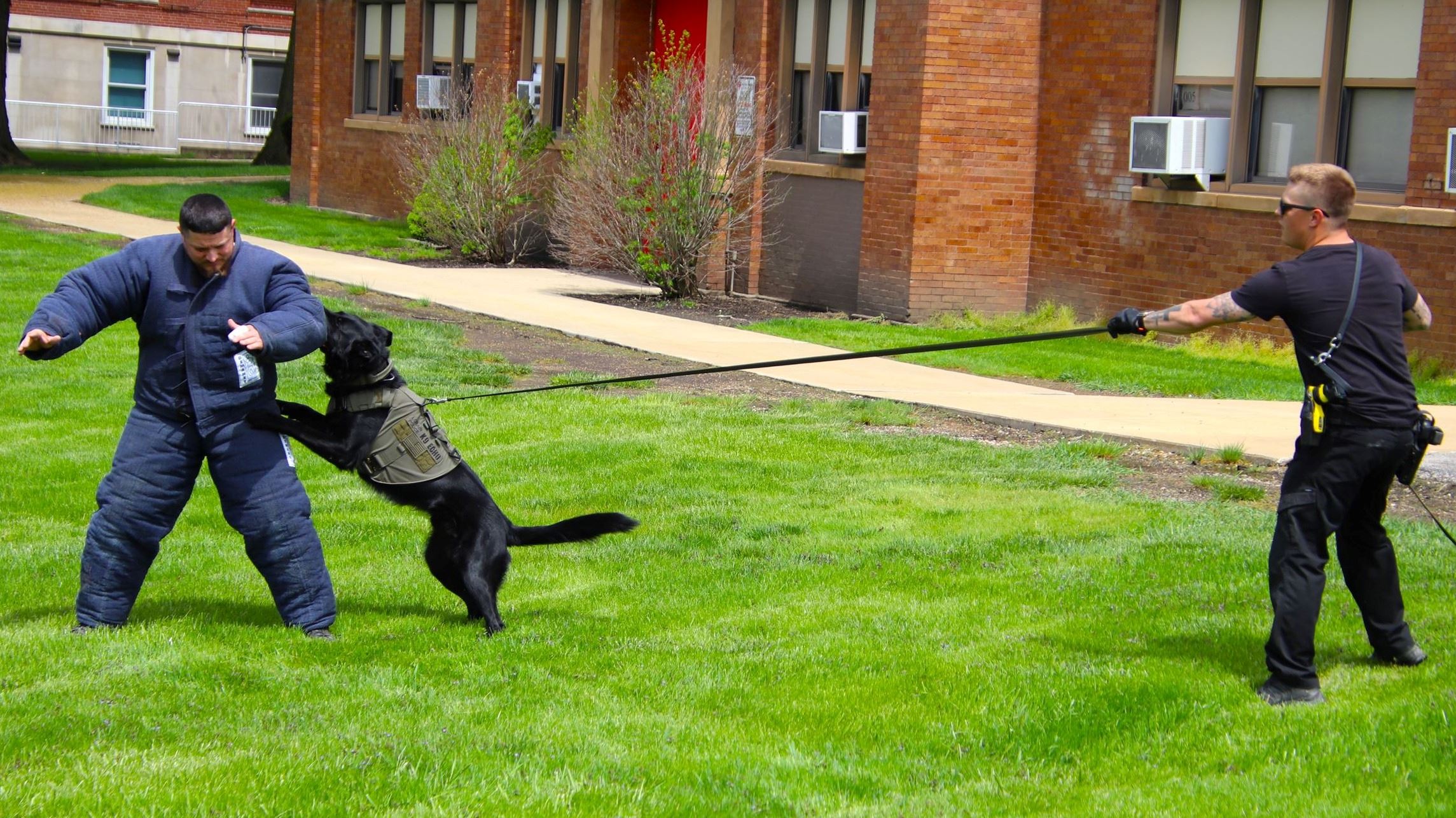 K-9 handler and his dog during training exercise