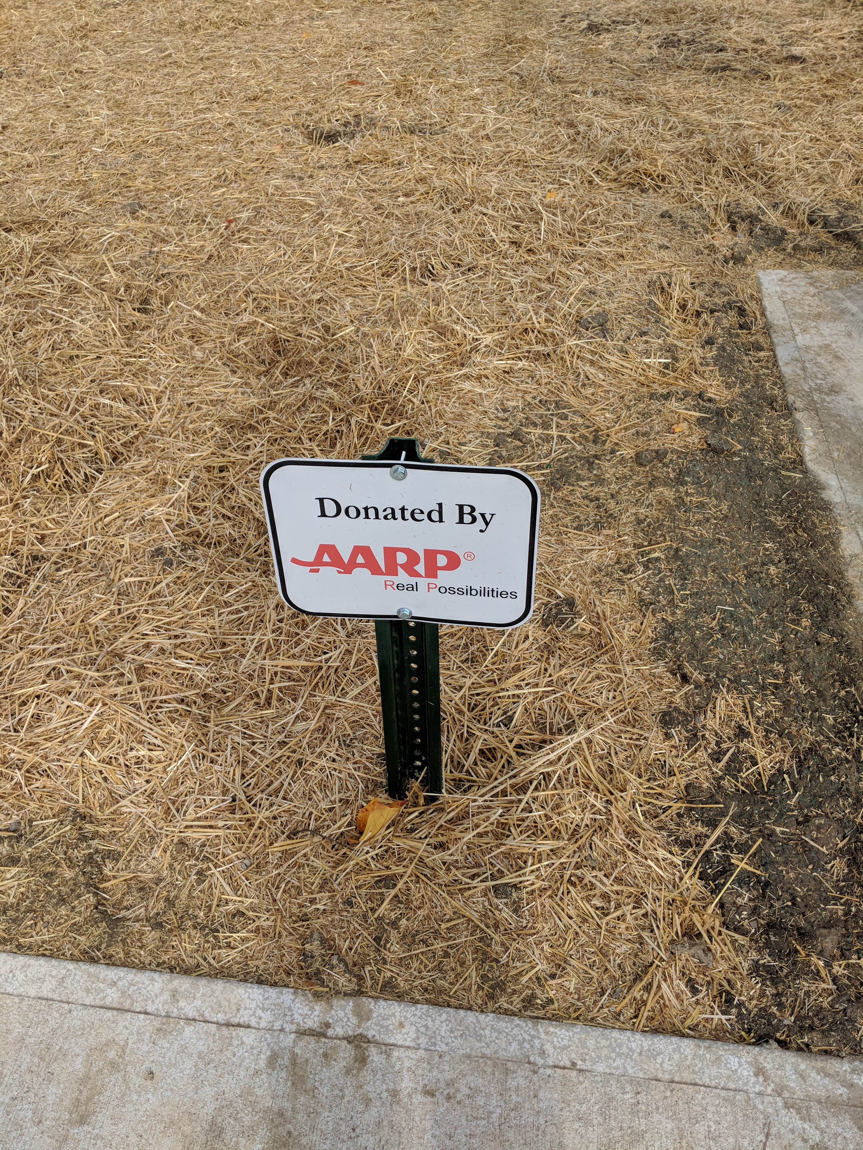 IMG_20191104_111958 IMG_20191104_111958